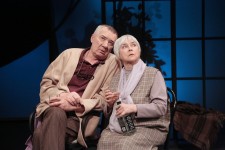 in the performance Vis-à-vis 