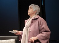 у виставі Візаві 