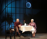 in the performance Vis-à-vis 