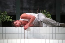 у виставі Санаторійна зона 