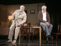 in the performance Death Of A Salesman 